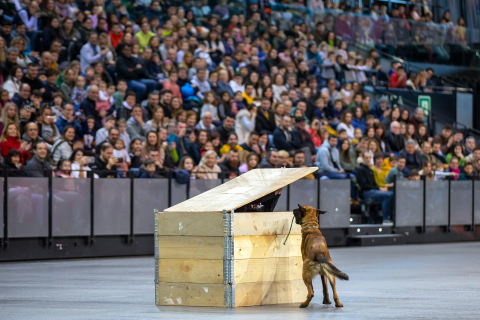 Jornada de puertas abiertas de la Policía foral en el Navarra Arena./