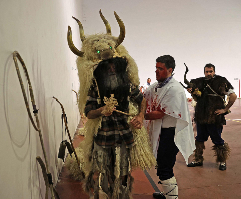 Imágenes del carnaval de Alsasua