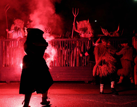 Imágenes del carnaval de Alsasua