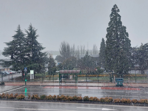 Imágenes de la nieve en Pamplona