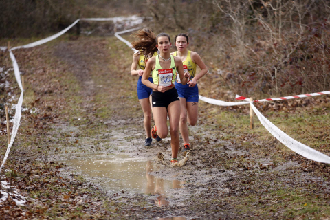Imágenes del campeonato navarro de cross en el circuito Dantzaleku de Alsasua