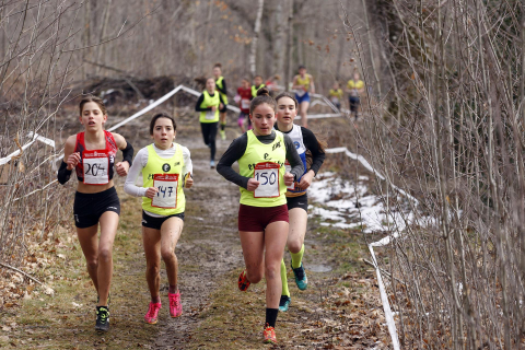 Imágenes del campeonato navarro de cross en el circuito Dantzaleku de Alsasua