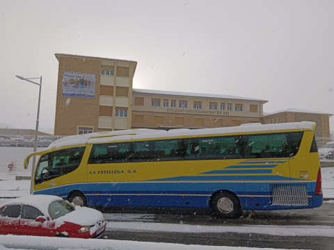 Fotos de la nevada de este lunes en Tierra Estella