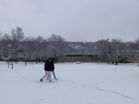 Fotos de la nevada en el parque Los Llanos de Estella. /