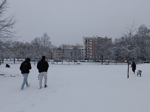 Fotos de la nevada en el parque Los Llanos de Estella. /