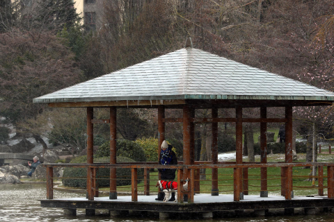Imágenes de la nieve y el frío este lunes en Pamplona