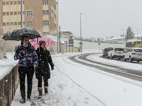 Fotos de la nevada de este lunes en Tierra Estella