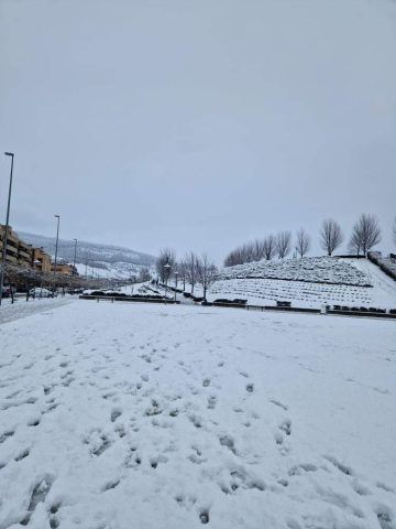 Fotografías de la nieve de nuestros suscriptores