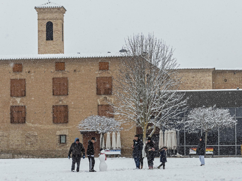 Fotos de la nevada de este lunes en Tierra Estella.
