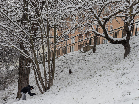 Fotos de la nevada de este lunes en Tierra Estella.