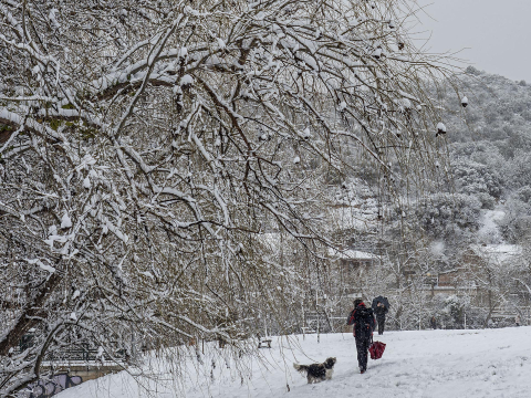 Fotos de la nevada de este lunes en Tierra Estella.