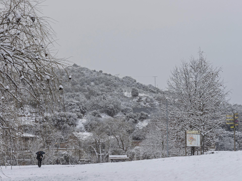 Fotos de la nevada de este lunes en Tierra Estella.