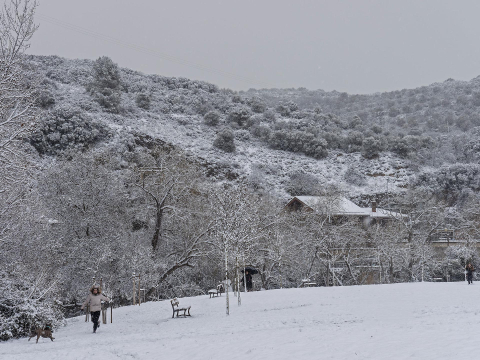 Fotos de la nevada de este lunes en Tierra Estella.