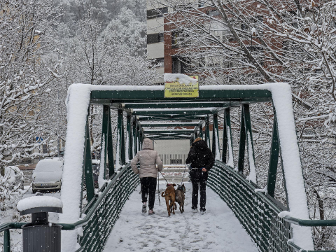 Fotos de la nevada de este lunes en Tierra Estella.