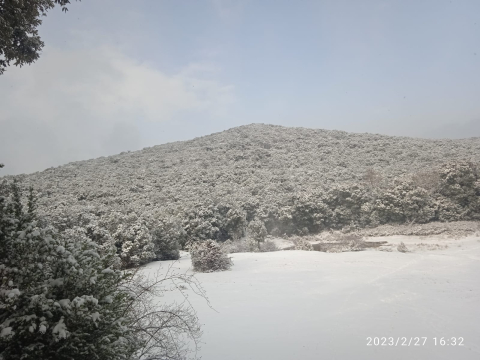 Mendaza