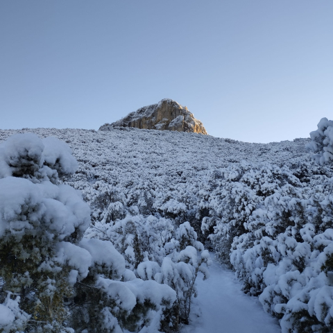 Invierno lectores