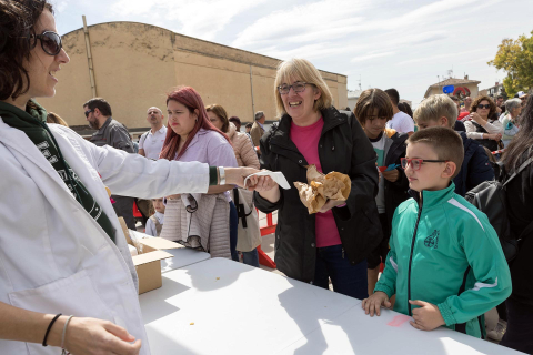 Fotos de la Operación Bocata del colegio Anunciata de Tudela.