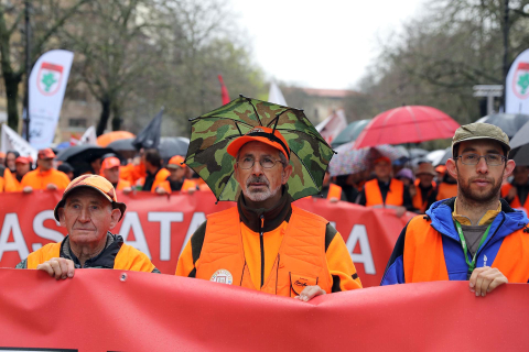 Manifestación