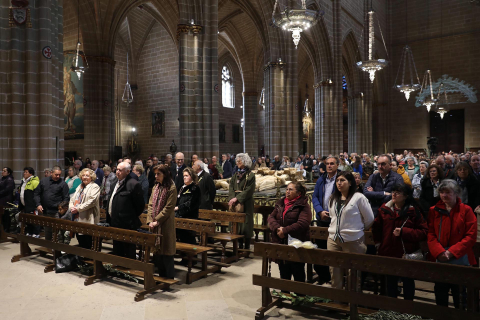 Domingo de Ramos