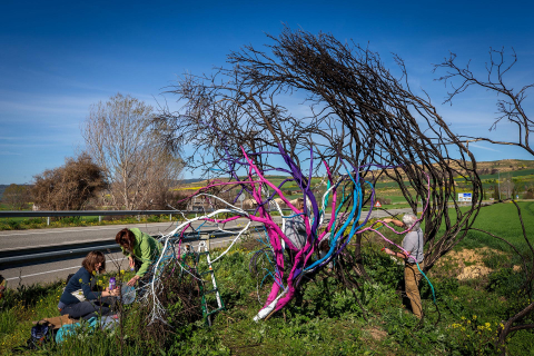 Fotos de la acción artística con los árboles quemados en Valdizarbe.