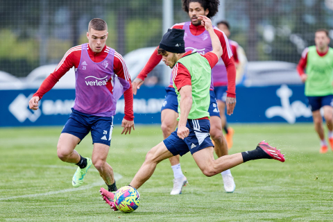 Osasuna Tajonar