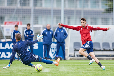 Osasuna Tajonar