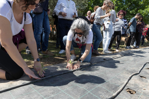Presentación oficial de la Cofradía del Tomate Feo de Tudela.