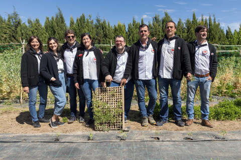 Presentación oficial de la Cofradía del Tomate Feo de Tudela.