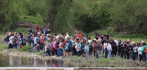 Fotos del día de las Almadías en Burgui.