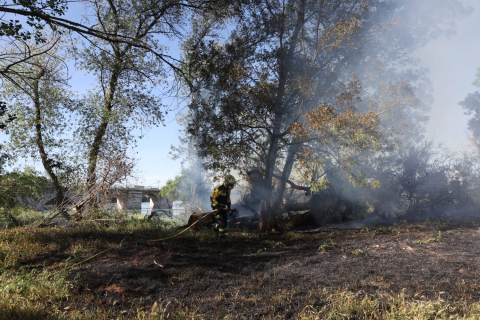 Un bombero trabaja en la extinción del fuego iniciado este martes en la desembocadura del río Mediavilla, en Tudela
