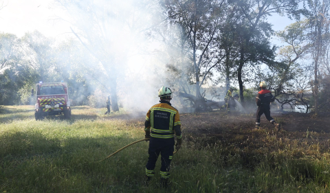 Bomberos de Navarra y agentes de la Policía Municipal de Tudela trabajan en la extinción del fuego declarado en la desembocadura del río Mediavilla
