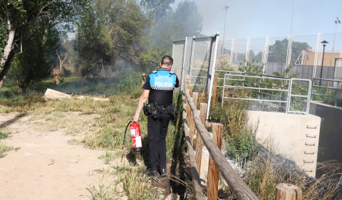 Bomberos de Navarra y agentes de la Policía Municipal de Tudela trabajan en la extinción del fuego declarado en la desembocadura del río Mediavilla