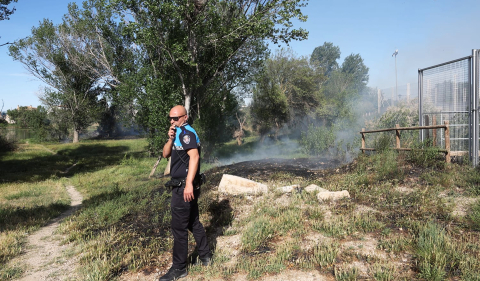 Bomberos de Navarra y agentes de la Policía Municipal de Tudela trabajan en la extinción del fuego declarado en la desembocadura del río Mediavilla