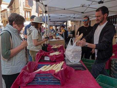 Fotos de la Feria del Espárrago de Dicastillo.