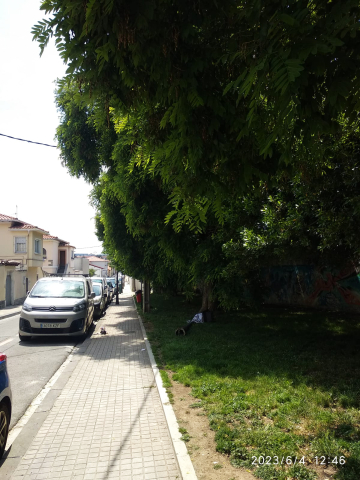 Zona muy frecuentada con grandes árboles sin podar que caen sobre aceras, cables de tensión, farolas ( foto), desproporcionados. Nunca se hace nada. Llegan hasta el suelo. Cendea de Iza. Chantrea