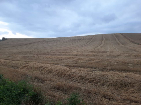 La Mariblanca, en La Taconera.