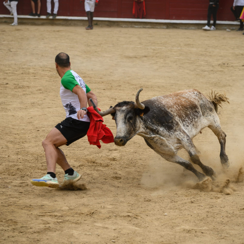 Agosto en Navarra.