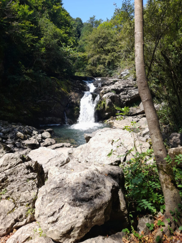 Vía Verde. Lekunberri.