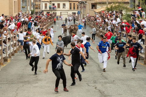 Fotos del sexto y último encierro de las fiestas de Sangüesa.