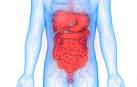 Obesidad e hígado graso: ¿cómo puede protegernos una microbiota intestinal saludable?