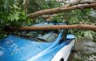 Con que tengamos contratado un seguro básico a terceros, el Consorcio se hará cargo de los destrozos producidos a nuestros coches tras riesgos atmosféricos extraordinarios.