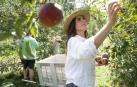 Ana Taberna Villanueva, graduada en Psicología y que decidió ser agricultora, en plena recolección de manzanas en su finca Kisua q
