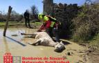 Momento del rescate