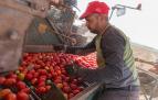 ¿Cuánto tomate comen los navarros?