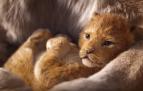 El primer adelanto de la nueva película de 'El Rey León' arrasa en visitas