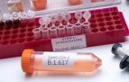La variante india del SARS-CoV-2 está catalogada, de momento, como variante en investigación.