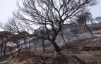 Incendio Bardenas