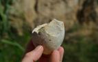 Piedra tallada hallada en el yacimiento del Barranco de la Boella, en La Canonja (Tarragona)