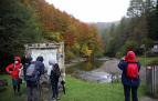 Turistas en el acceso a la Selva de Irati por Ochagavía, en las inmediaciones de las Casas de Irati el pasado otoño.