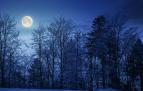 La luna llena de noviembre se conoce como La luna del Castor